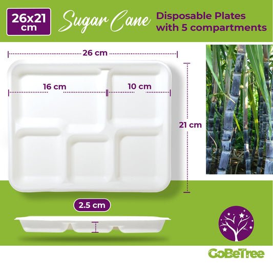 GoBeTree 100 Piatti monouso da 26 cm con 5 scomparti. Piatti in canna da zucchero, stoviglie monouso extraforti di colore bianco. Piatti rettangolare.
